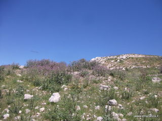 ntagna di Ramacca-23-04-2022 13-07-10
